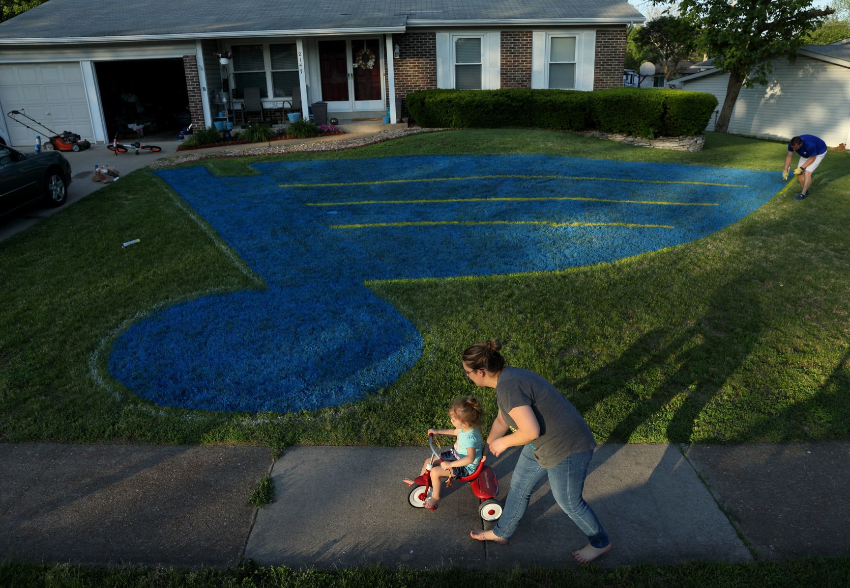 St. Louis Blues fan paints his yard with logo